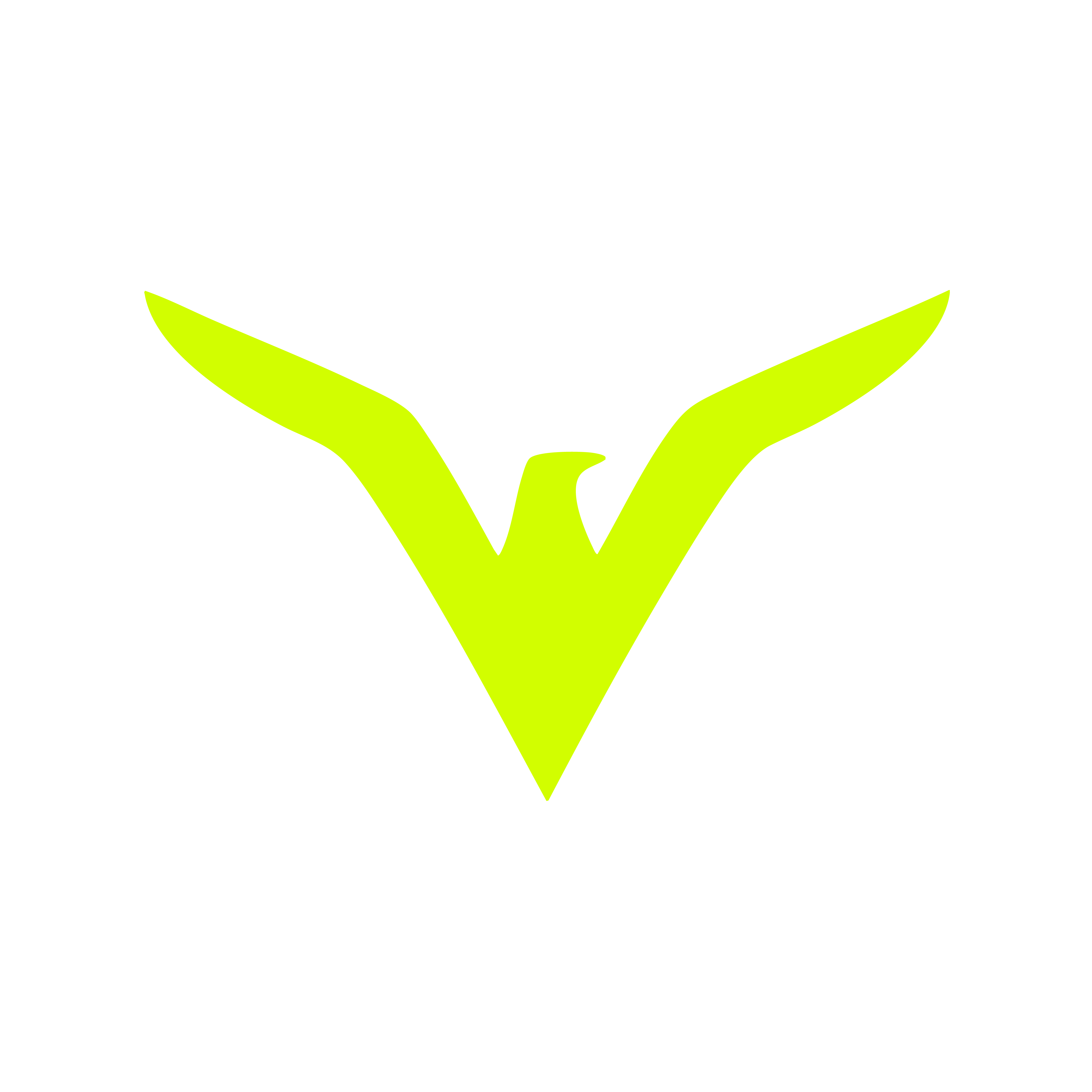 BIRDIE icon